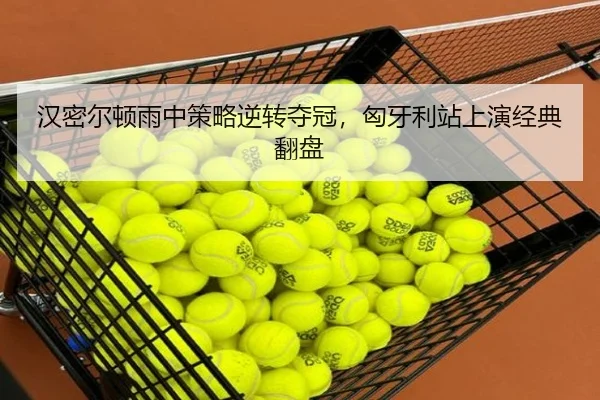 han-mi-er-dun-yu-zhong-ce-lve-ni-zhuan-duo-guan-xiong-ya-li-zhan-shang-yan-jing-dian-fan-pan-2-484.jpg