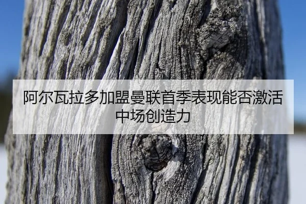 阿尔瓦拉多加盟曼联首季表现能否激活中场创造力