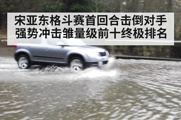 宋亚东格斗赛首回合击倒对手强势冲击雏量级前十终极排名