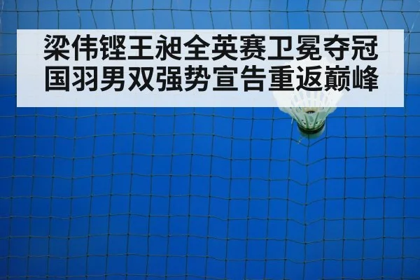 badminton net play