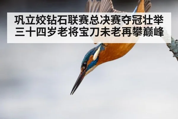 巩立姣钻石联赛总决赛夺冠壮举 三十四岁老将宝刀未老再攀巅峰