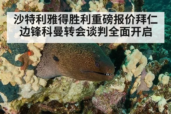 沙特利雅得胜利重磅报价拜仁边锋科曼转会谈判全面开启